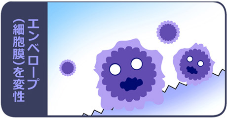 抗ウイルスシート ウイルスクリア ウイルス減少仕組み